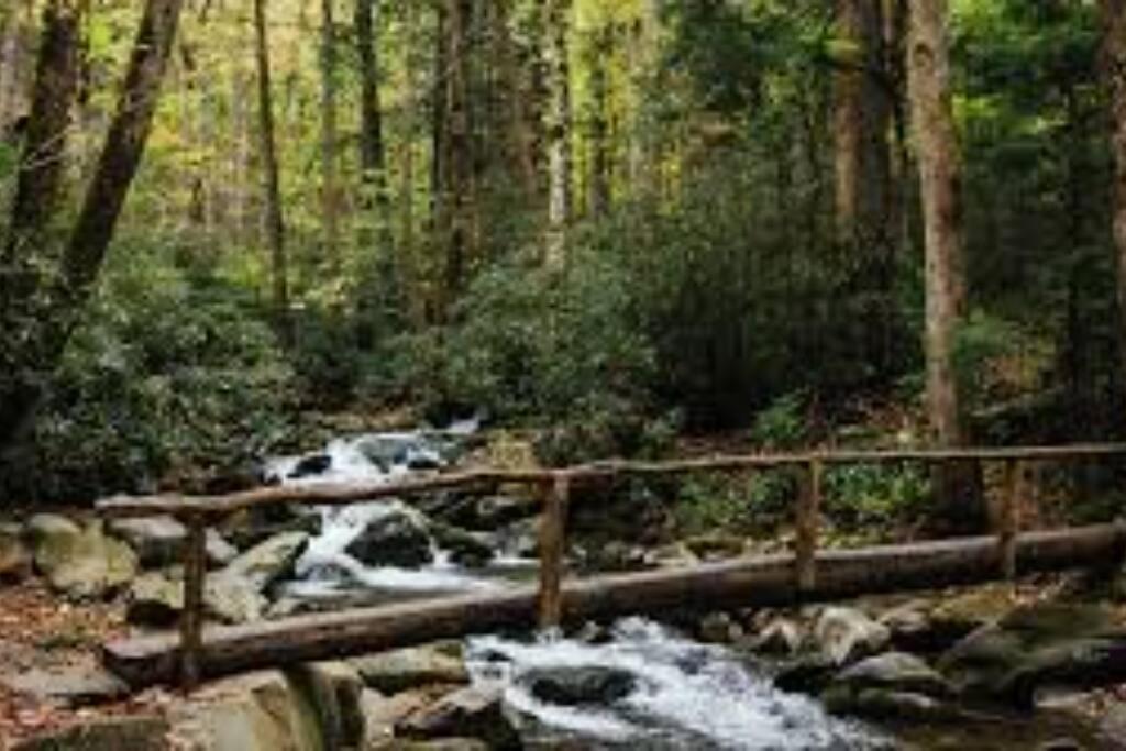 布赖森城Honeymoon Getaway In Woods Near Noc And Smoky Mtn Rr别墅 外观 照片